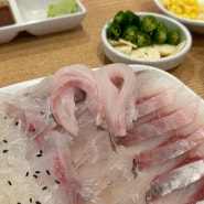 [대구] 귀한 오징어회 먹고 온 장기동 오징어와친구들 후기