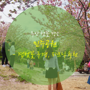 부산 벚꽃 명소 민주공원 - 겹벚꽃 구경, 피크닉 추천