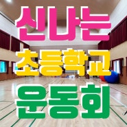 초등학교 운동회 체육대회 신나고 즐겁고 재밌게 전문 업체 추천!