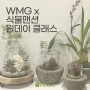 WMG x 식물맨션 테라리움 원데이 클래스/ 인아트 세종점