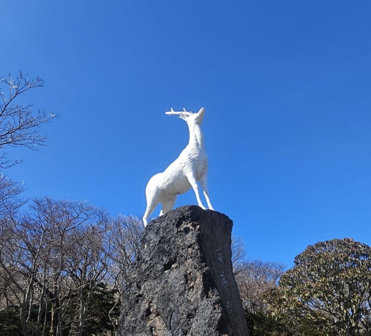 제주 1100고지 , 겨울의 끝자락