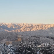 강릉 의사 파업 수술 못받고 있는 나