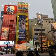 도쿄 오타쿠 여행 (1) : 아키하바라 중고 굿즈샵 쇼핑하고 라멘먹기