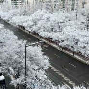 2월 넷째주까지의 일상 먹고 또먹고