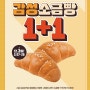 소금빵 맛집 '감성커피' 누적 판매량 100만개 돌파!소금빵 1+1EVENT 진행(2/27~2/29 한정)