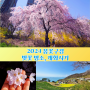 2024 벚꽃개화시기, 벚꽃 명소 벚꽃 여행 지도