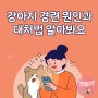 강아지 경련 원인과 대처법 알아봐요