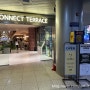 서울역 주차 편한 맛집 Connect Terrace 커넥트 테라스 (리뉴얼, 주차비 할인 정보 포함)