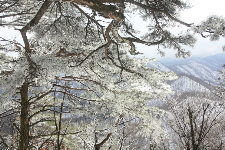 소요산  - 경기 동두천 -