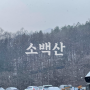 (경북 영주) 부산에서 출발해서 소백산 설경 보기!