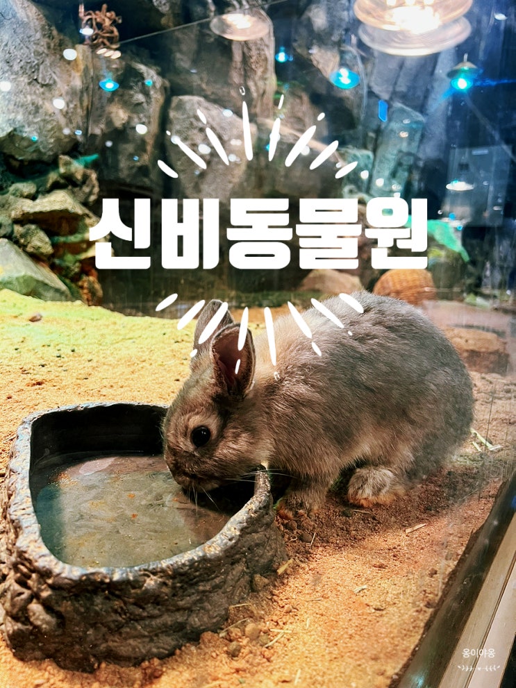 가평 아이랑 가볼만한 곳 [신비동물원] 이용 요금/이용 시간...