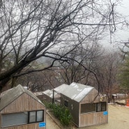 동학사 야영장 : 국립공원관리공단, 하우스, 반려견 반려동물 동반, 캠핑장