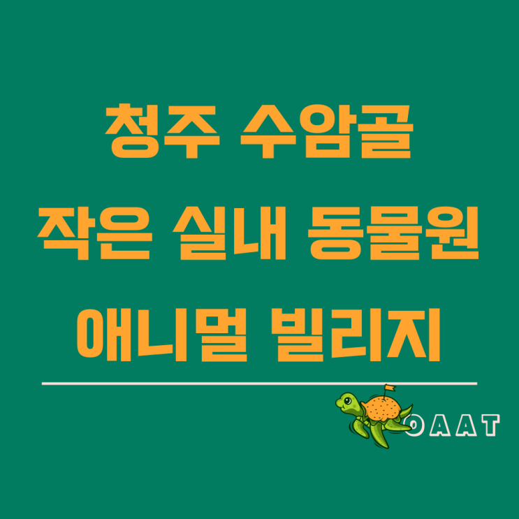 청주 수암골 애니멀빌리지 아이와 갈만한 곳 실내 체험 동물원