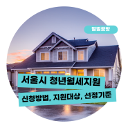 24년 서울시 청년월세지원금 신청방법(최대 240만원)