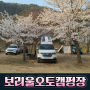 강원도 벚꽃 차박 캠핑 '보리울 오토 캠핑장'