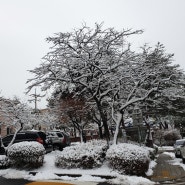 눈이 소복한 청량산(인천)