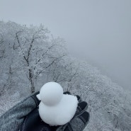 밀양케이블카 타고 천왕산 설경 상고대 겨울왕국을 경험하다!!