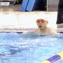 수영일기 | 나의 수영실력 기록 겸 중간점검