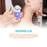 자궁경부암 예방접종 가격 부작용 무료대상자 정보