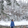 3대 전나무숲길 중 하나인 월정사 전나무길에서 하얀 겨울을 만나다