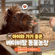 경기도 포천 동물 먹이주기 체험 서운동산 베이비팜