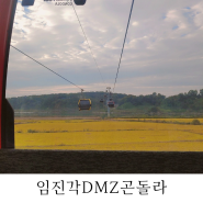북한이 보이는 파주 임진각 디엠지 곤돌라 DMZ 포비