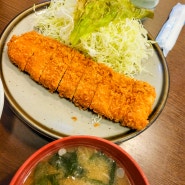 도쿄 돈카츠 [ 돈카츠 후지요시 역전 ] 아사쿠사바시 네일동 돈까스 맛집