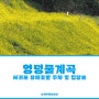 엉덩물계곡 - 유채꽃밭 주차 및 입장료 무료 (3월 서귀포 유채꽃 명소)