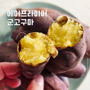 에어프라이어 군고구마 유아간식으로 추천! 김의준고구마 꿀고구마로 맛있게!