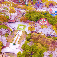이랜드 테마파크 이월드, 최대 벚꽃축제 블라썸 피크닉 ‘라라랜드’ 개최