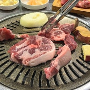동양동 맛집 숯불주먹고기 동양동 고기집추천