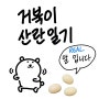 우리집 거북이 첫 산란소식🥚