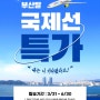 부산출발 세부여행 진에어 특가 예약 성공후기 ✈️