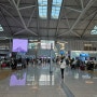 싱가포르 여행 : 인천 - 싱가포르 아시아나항공 이코노미 탑승 후기
