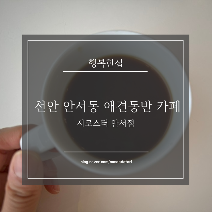 단대호수 예쁜카페 실내 애견동반 카페 추천 / 지로스터 안서점