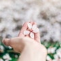 [좋은 시]내 가슴에도 봄이 오나 봐·이채 시인 ㅣ한강의 풍경들ㅣ2월 26일 달 사진