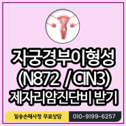 자궁경부이형성증(N872) 제자리암진단비 지급받기