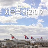 지금은 하와이 7 - 하와이 공항 대한항공 체크인 라운지