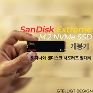 샌디스크 익스트림 M.2 NVMe SSD 개봉기 & 샌디스크 다나와 서포터즈 발대식