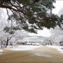 (2월 22일) 눈이 펑펑 내렸던 날, 창경궁의 멋진 설경(2/3편)