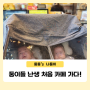 아이와 가볼만한곳 : 순천 동천 산책 & 쌍둥이 첫 카페 가다