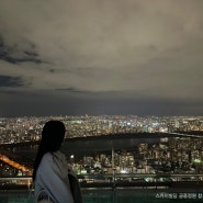 일본여행 오사카 우메다 스카이빌딩 공중정원 야경