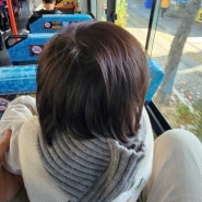 아기버스요금,아기버스무임승차 기준 ( 아기랑 버스여행하기)