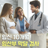 임신 37주 증상 임산부 막달 검사 / 막달 태동 검사 경험담