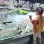 가평카페 아쿠아가든 수중정원 아이랑 물고기 먹이주기체험