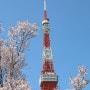 일본 도쿄 3월 날씨 및 기온 옷차림 추천 2024년 벚꽃 개화 시기