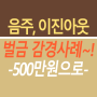 대전 행정사 음주운전 이진아웃 벌금 500만원으로 감경 - 경주