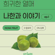 희귀한 열매 나한과 이야기 - ep.1