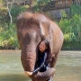 🇹🇭태국 치앙마이 타완 리버 사이드 액티비티 코끼리 모닝콜 & 코끼리 목욕 후기 Tawan Riverside Elephant Resort