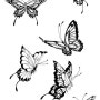 봄 나비 스케치 색칠공부 밑그림 도안자료 butterfly illustration